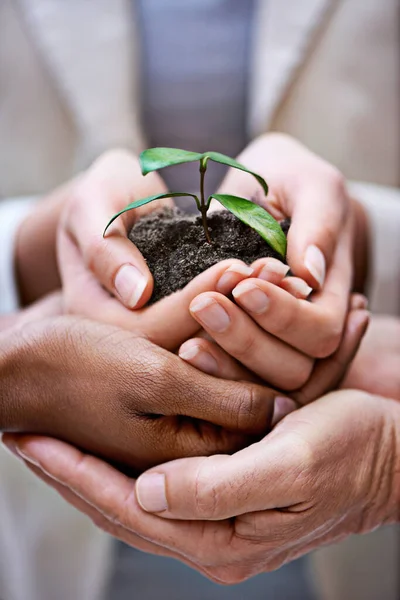 Nurturing their business as a team. a hands holding a budding plant