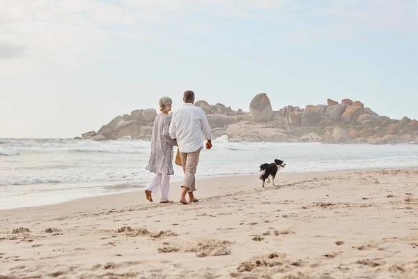他们都喜欢海滩 一对中年夫妇牵着他们的狗在海滩上手牵手散步的场景 — 图库照片