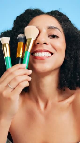 Make Borstel Schoonheid Het Gezicht Van Vrouw Studio Voor Cosmetische — Stockvideo