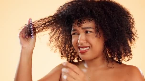 Vlasy Hřeben Nebo Zamotané Afro Žena Studiu Žlutém Pozadí Zápasí — Stock video