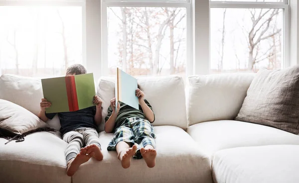 Livros Têm Muito Para Nos Ensinar Dois Irmãos Adoráveis Lendo — Fotografia de Stock