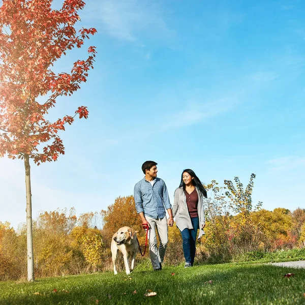 stock image We start the day with a walk in the park. a loving young couple taking their dog for a walk through the park