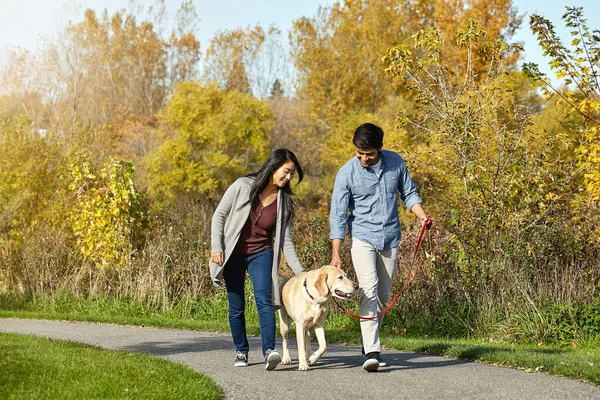 多亏了我们的狗 我们变得更活跃了 一对可爱的年轻夫妇带着他们的狗在公园里散步 — 图库照片