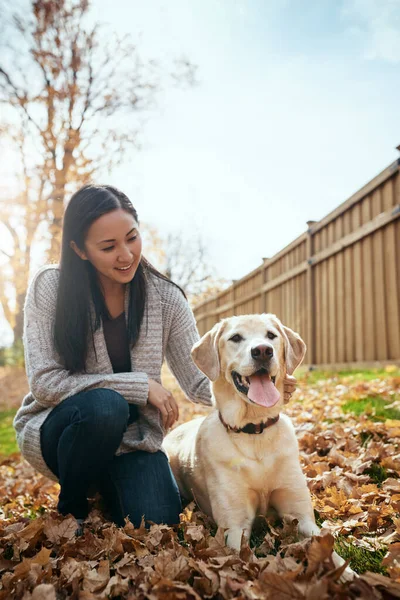 有了一个毛茸茸的好朋友 生活会更好 秋天的一天 一位年轻貌美的女士在花园里和她的狗玩耍 — 图库照片