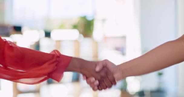 Handshake Women Office Agreement Partnership Collaboration Success B2B Negotiation Black — Stock Video