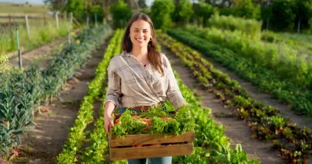 Mulher Agricultora Agricultura Legumes Caixa Agricultura Produtos Frescos Orgânicos Colheita — Vídeo de Stock