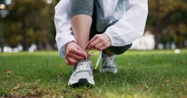 Fitness Mãos Mulher Amarrar Sapatos Renda Antes Início Exercício Natureza — Vídeo de Stock