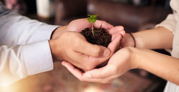 Plant People Partner Hands Business Growth Eco Friendly Development Sustainability — Stock Photo, Image