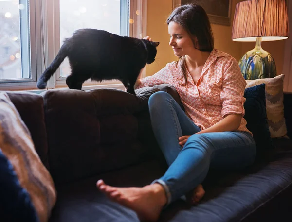 매력적 소파에서 쉬면서 고양이와 유대를 — 스톡 사진