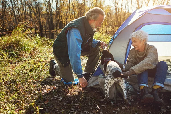 He loves the outdoors just as much as they do. a senior couple camping together in the wilderness with their dog