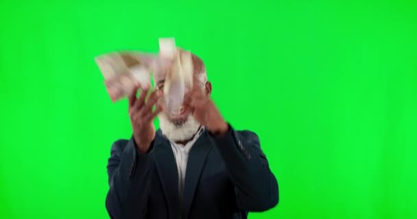 スタジオ お金の雨と黒の男 成功のお祝いは クロマキーの背景に隔離された 富と幸福 緑の画面のモックアップでボーナスと金融の自由を持つビジネスマン — ストック動画