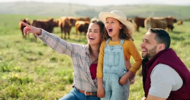 家庭和牛群带着一个女孩 一个母亲和一个父亲在田野里务农 看着风景笑着 女人和女儿在草地上养牛的可持续性 爱和乐趣 — 图库视频影像