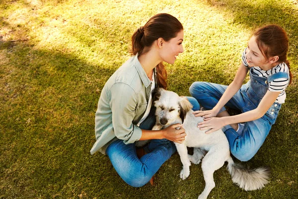 他们最好的朋友不只是他们的宠物一位母亲和她的女儿在公园里和他们的狗玩耍 — 图库照片