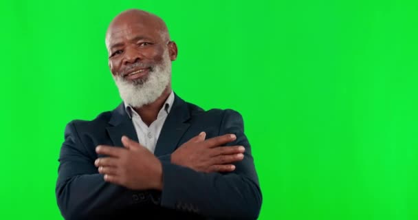 Rostro Hombre Negocios Negro Con Los Brazos Cruzados Pantalla Verde — Vídeo de stock