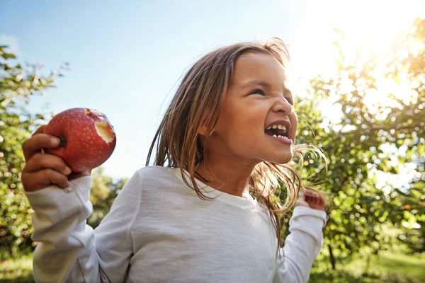 Thats Sweeeeeet Adorable Little Girl Having Fun Apple Orchard — Stock Photo, Image