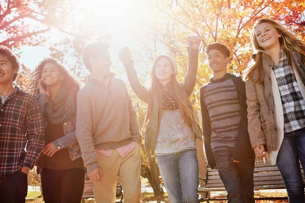 我们不需要太多的娱乐 一群青少年朋友在外面共度秋日 — 图库照片