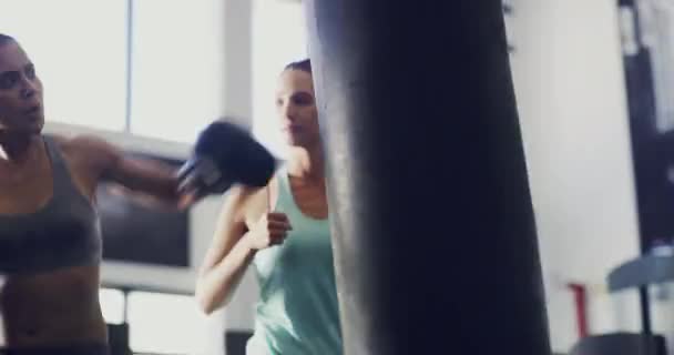 Female Athlete Boxer Exercising Punching Bag Coach Watching Training Fitness — Stock Video