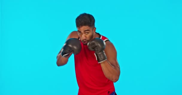 Reto Cara Boxeador Hombre Estudio Aislado Una Maqueta Fondo Azul — Vídeo de stock