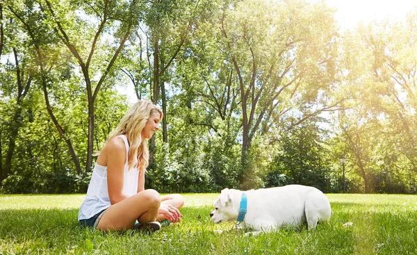 他是我最好的朋友和我的小知己 一个年轻的女人在公园里和她的狗呆在一起 — 图库照片