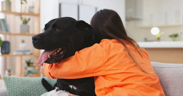 Mujer Perro Abrazos Sofá Juntos Sala Estar Diversión Amor Feliz — Foto de Stock