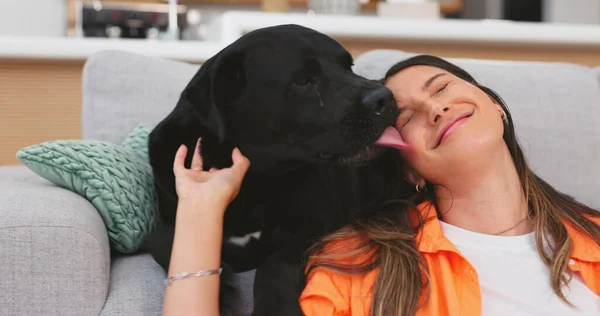 Relax, sofa and woman pet dog for love, support and animal care in living room for trust, chill and happy. Best friend, cute and owner hands on canine for petting, bonding and quality time together.