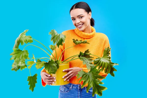 带着植物在工作室里的快乐女人的画像 带着蓝色背景的室内植物的微笑和快乐 Genz女孩园艺 可持续和绿色的业余爱好 成为生态友好花园商店的典范 — 图库照片