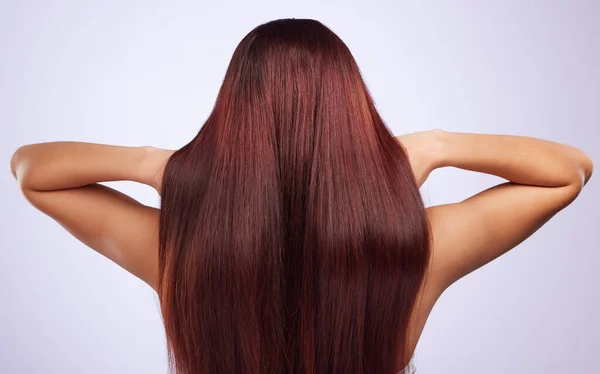 Rücken Haarpflege Oder Mädchen Studio Für Gesunden Natürlichen Glanz Schönheit — Stockfoto