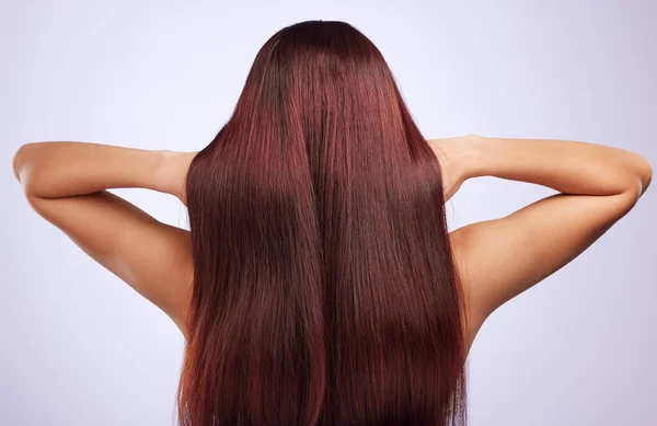 Zpět Péče Vlasy Nebo Žena Studiu Pro Zdravý Přirozený Lesk — Stock fotografie