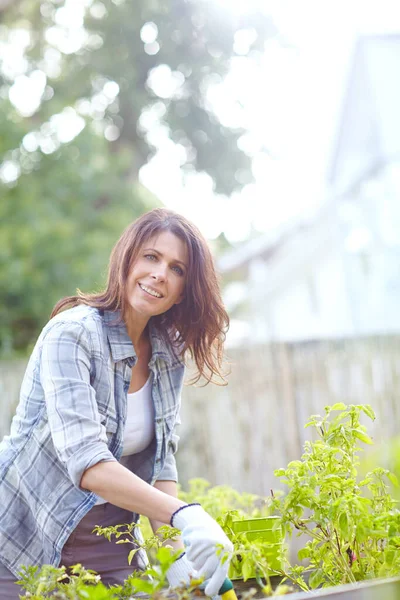 Maradj Nyugodt Kertészkedj Egy Gyönyörű Aki Kerti Kesztyűt Visel Miközben — Stock Fotó