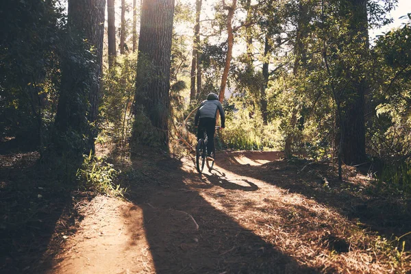 Fitness, bicycle and man back outdoor on a forest path with extreme and exercise adventure. Bike, cycling and sport of an athlete with fast speed and nature cycle for sports training and race action.