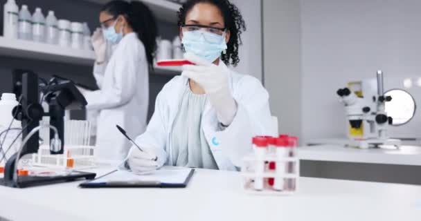 Laboratuvar Rapor Pano Sonuçları Için Test Tüpüyle Araştırma Yapan Bilim — Stok video