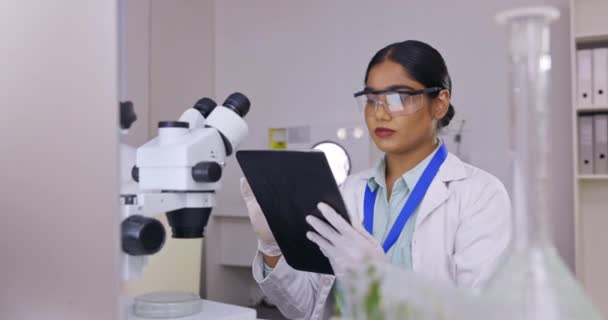 Tablet Forskning Och Vetenskap Kvinna Laboratorium Mikroskop Dataanalys Och Bioteknik — Stockvideo