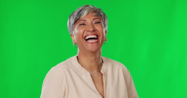 웃기는 스튜디오 배경에 고립된 코메디 코믹에 행복하고 여성의 초상화 행복에 — 비디오