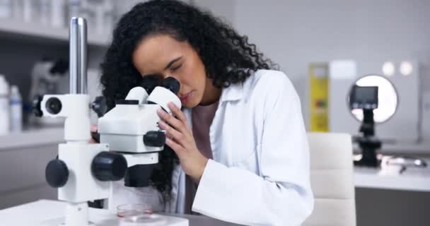 Científico Mujer Microscopio Con Análisis Laboratorio Experimento Científico Muestra Prueba — Vídeos de Stock