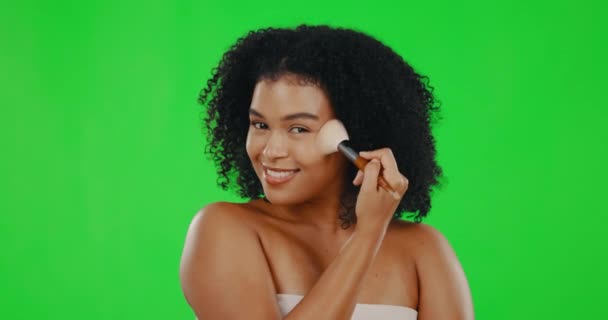 Beauté Écran Vert Visage Femme Avec Pinceau Maquillage Pour Les — Video