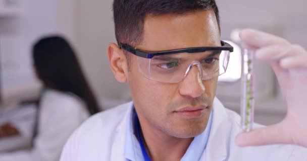 Växtvetenskap Människa Och Laboratorium Med Injektionsflaska För Forskning För Futuristisk — Stockvideo