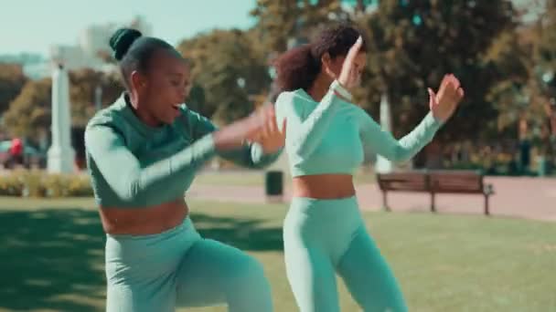 Mujeres Amigos Fitness Parque Con Energía Ejercicio Entrenamiento Aire Libre — Vídeo de stock