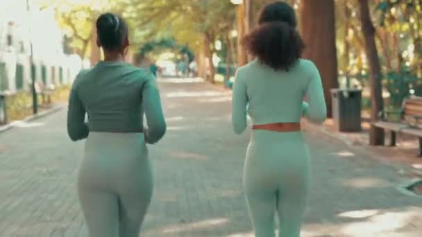 朋友和公园中健康的女性回到了做运动和锻炼的道路上 有氧运动 妇女和跑步者在室外健康运动的街道上共同训练人们 — 图库视频影像