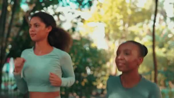 Futó Nők Barátok Edzés Parkban Csapatmunkával Együtt Vagy Nyáron Testmozgás — Stock videók