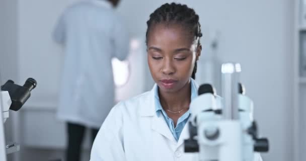 Μαύρη Γυναίκα Επιστήμονας Σοβαρή Μελέτη Προσώπου Και Επιστήμης Εργαστήριο Μικροσκόπιο — Αρχείο Βίντεο