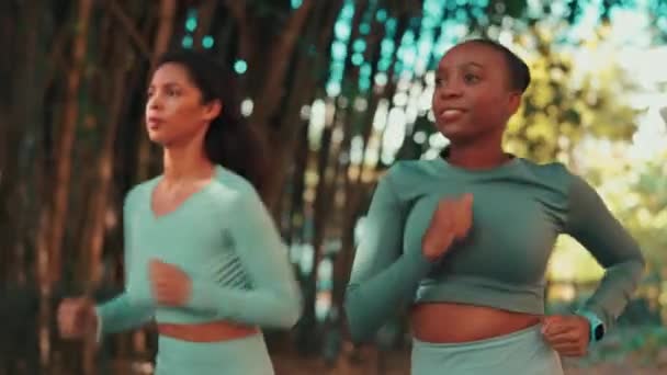 Mujeres Correr Amigos Entrenar Parque Con Trabajo Equipo Juntos Apoyo — Vídeo de stock