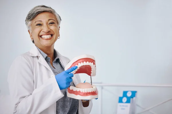 Dentista Dentaduras Retrato Mulher Idosa Para Odontologia Serviço Médico Odontológico — Fotografia de Stock