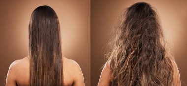 Hair care, beauty and back of woman in studio with shiny, clean and messy dirty hairstyle. Health, self care and model with knots before keratin, brazilian or botox hair treatment by brown background. clipart