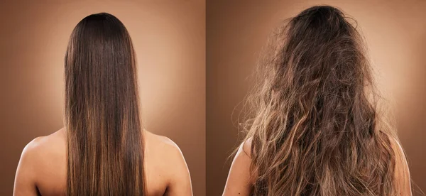 Hair care, beauty and back of woman in studio with shiny, clean and messy dirty hairstyle. Health, self care and model with knots before keratin, brazilian or botox hair treatment by brown background.