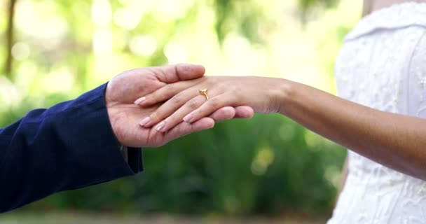 Casamento Parque Mãos Casal Com Anel Para Cerimônia Casamento Compromisso — Vídeo de Stock