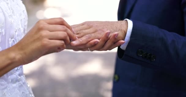 Брак Обручальное Кольцо Руки Пары Парке Церемонии Обязательство Событие Празднование — стоковое видео