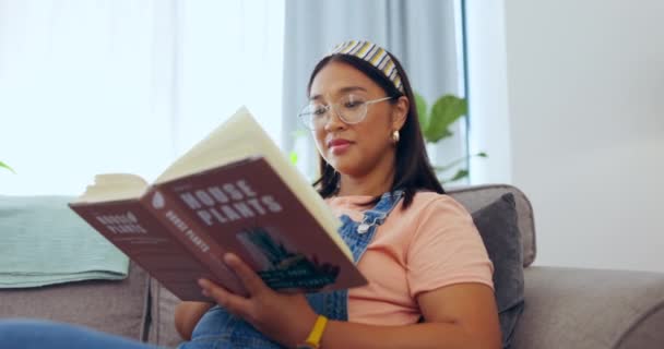 Relaxe Lendo Feliz Com Mulher Sofá Para Estudar Informação Literatura — Vídeo de Stock