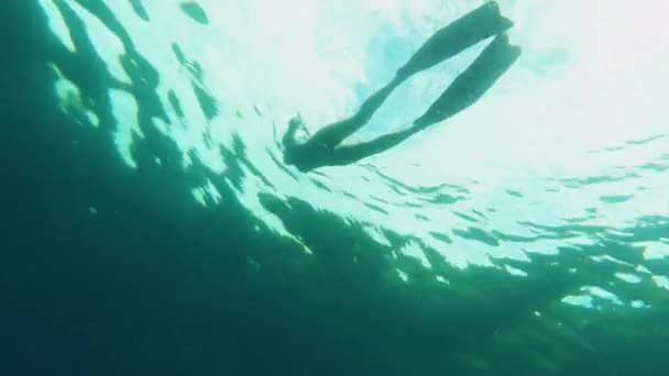 Buceo Buceo Submarino Oceánico Femenino Para Aventura Libertad Descubrimiento Naturaleza — Vídeos de Stock