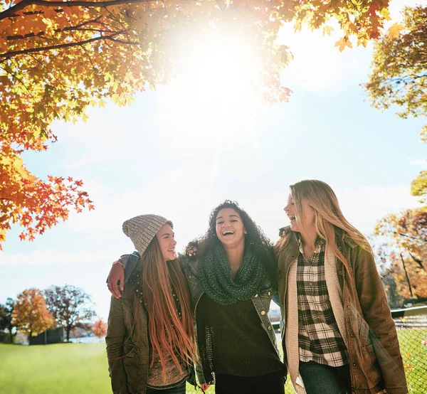 Everything Fine Good Friends Your Side Group Young Friends Enjoying — Stock Photo, Image