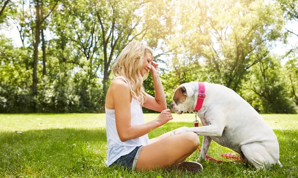 你最好的朋友不一定要是人类 一个年轻的女人在公园里和她的狗呆在一起 — 图库照片
